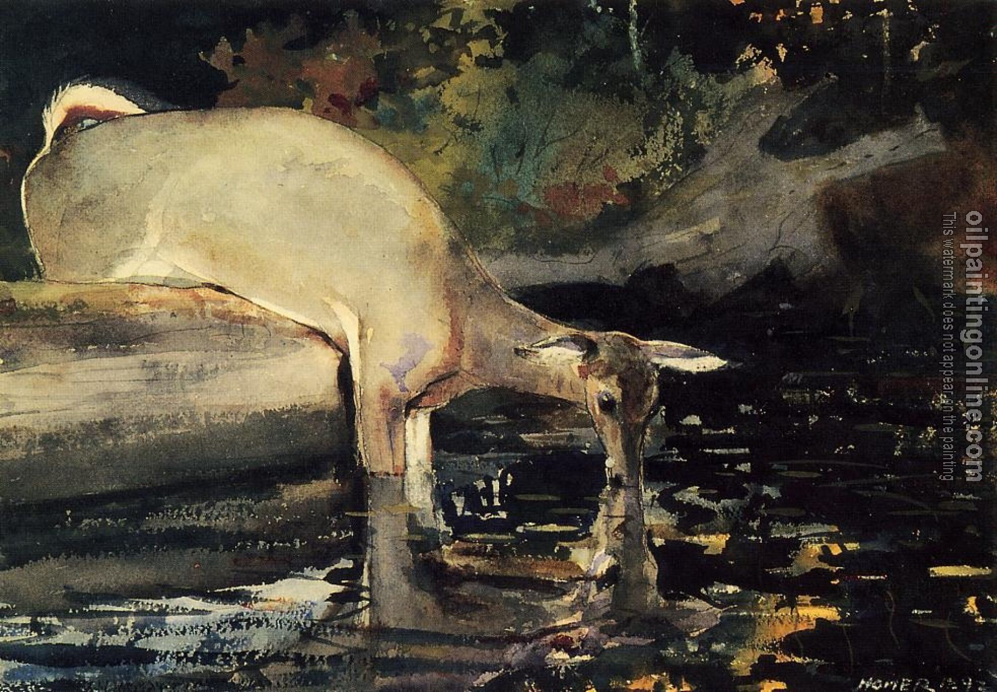 Homer, Winslow - Deer Drinking